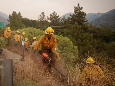 Petugas pemadam kebakaran saat berusaha melokalisir kebakaran hutan yang terus meluas di Mentone, California, Minggu 8 September 2024. (AP Photo/Eric Thayer)