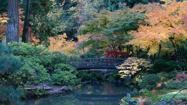 Portland Japanese Garden