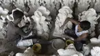 Para perajin menyelesaikan pembuatan patung Dewa Ganesha di sebuah bengkel di pinggiran Hyderabad, India, Senin (29/6/2020). Patung Dewa Ganesha banyak ditemukan di berbagai penjuru India termasuk Nepal, Tibet, dan Asia Tenggara. (NOAH SEELAM/AFP)