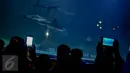 Pengunjung mengabadikan ikan di SeaWorld Ancol, Jakarta, Minggu (25/12). Seaworld menjadi tempat favorit pengunjung dalam liburan dikarenakan mereka bisa sambil belajar untuk putra-putrinya mengenal biota laut. (Liputan6.com/Faizal Fanani)