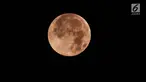 Gerhana bulan total terlihat di kota Semarang, Sabtu (28/7) dini hari. Gerhana bulan total tahun ini merupakan fenomena langka karena terjadi selama 1 jam 43 menit atau merupakan gerhana terlama yang terjadi di abad ini. (Liputan6.com/Gholib)