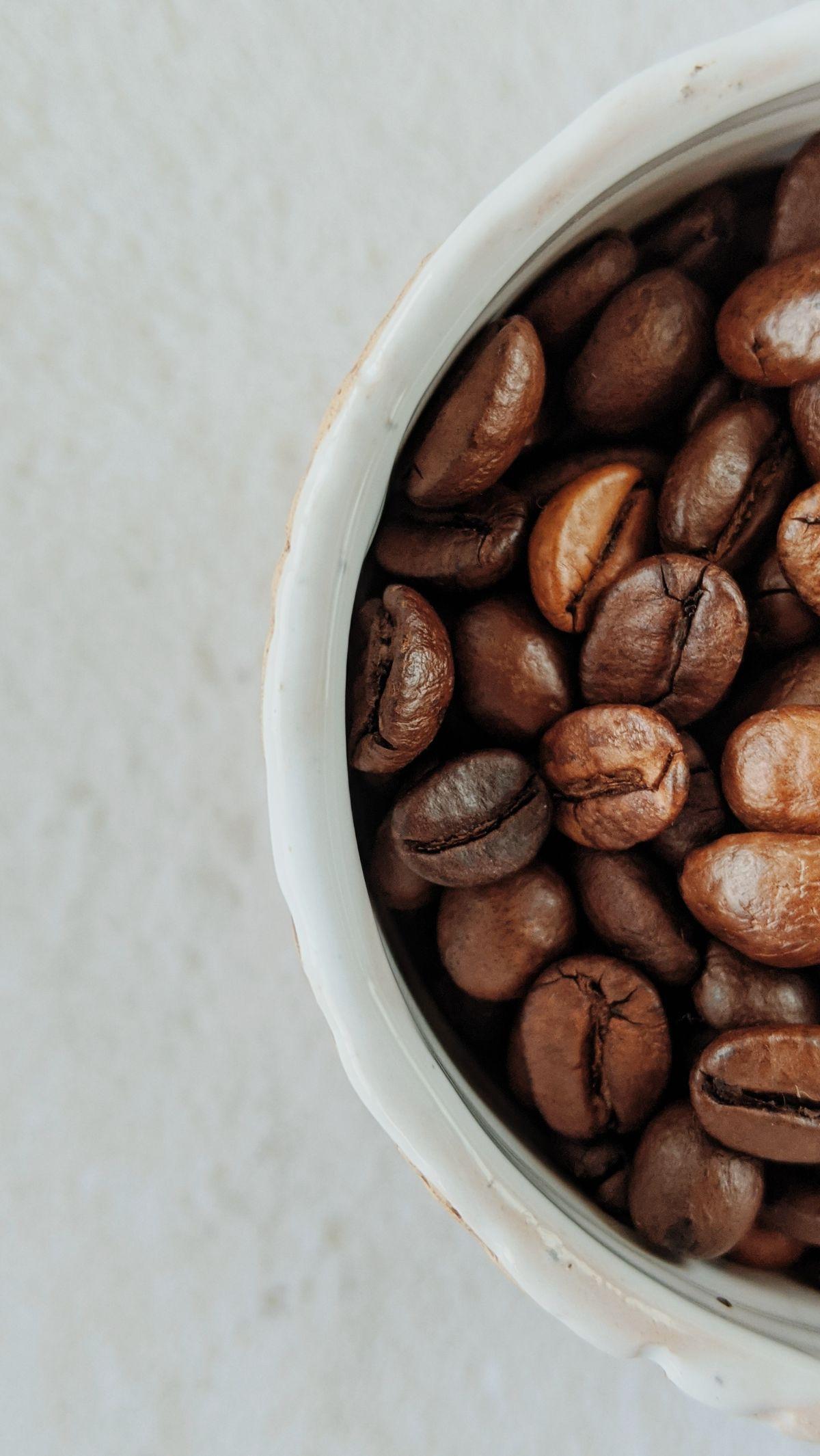 Minum kopi seolah telah menjadi tradisi masyarakat Indonesia. Hampir setiap orang kini memiliki hobi minum kopi. Tak hanya karena memiliki cita rasa dan aroma yang menyegarkan, minum kopi juga telah menjadi gaya hidup tersendiri bagi kalangan anak muda. B
