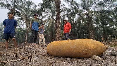 Cerita Warga Ogan Ilir Temukan Mortir Raksasa di Kebun Sawit