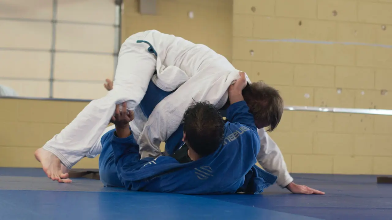 Ilustrasi Judo