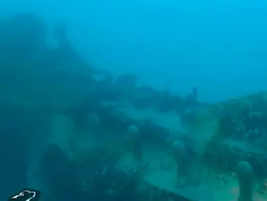 Sebuah gambar yang ditangkap dari rekaman video dari kapal penelitian Martin Bergmann menunjukkan kondisi puing HMS Terror di perairan Teluk Teror, sekitar pantai Pulau King William, Kanada (3/9). (Courtesy Arctic Research Foundation/Handout via REUTERS)