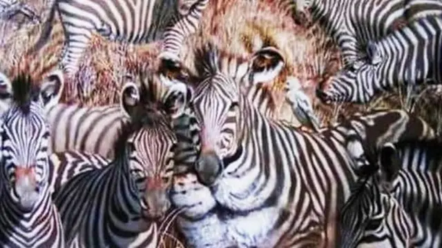 [BIntang] Apa Hewan Pertama yang Kamu Lihat? Temukan Jawabannya di Sini!