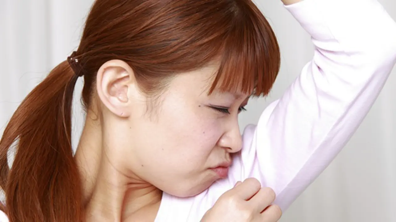 Foto: copyright Shutterstock.com