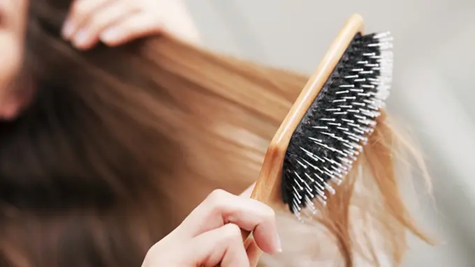 copyright by shutterstock.com