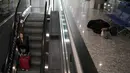 Pada awal akhir pekan Paskah yang panjang, bandara di ibu kota Argentina ini tampak sepi sebelum fajar menyingsing, beberapa jam sebelum bandara ini dipenuhi oleh para pelancong. Sekitar 100 orang yang tidur di dalam fasilitas tersebut bersiap-siap untuk memulai hari mereka. (AP Photo/Natacha Pisarenko)