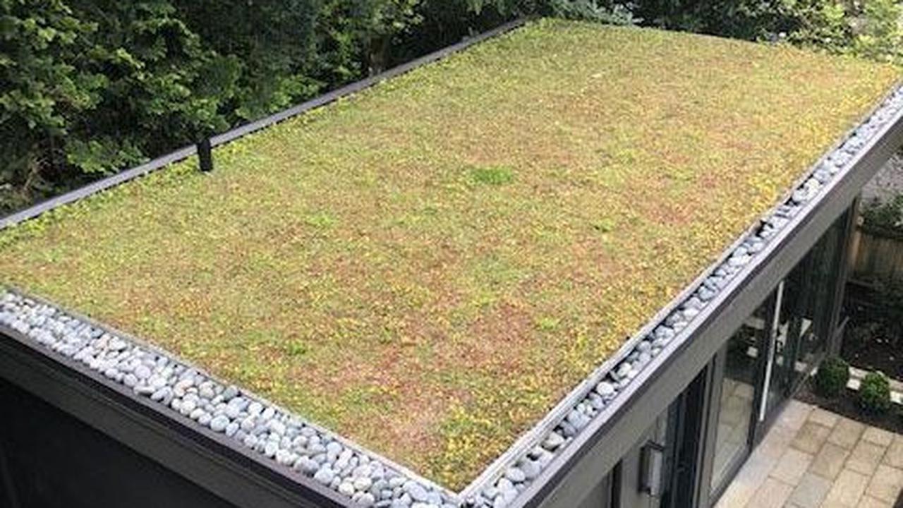 Atap Hijau (Green Roof)