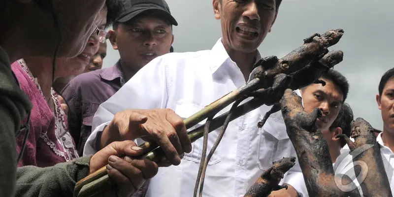 Ekspresi Jokowi Saat Ditawari Tikus Bakar