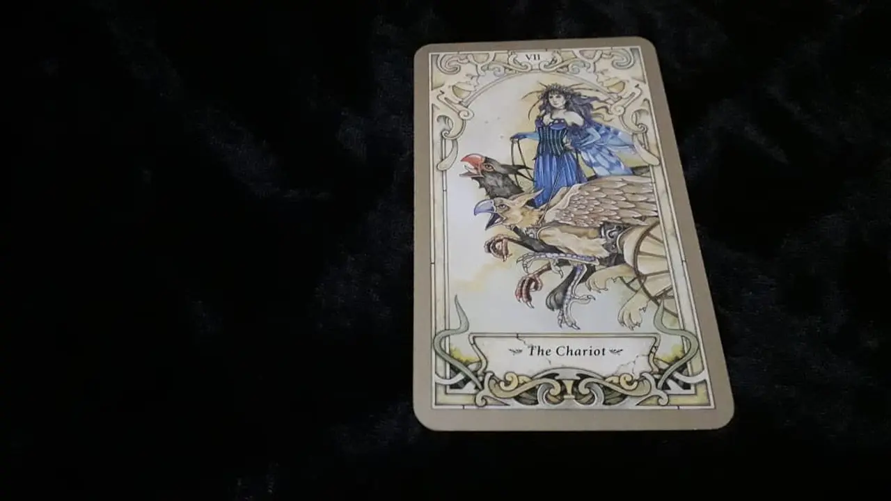 Tarot hari ini