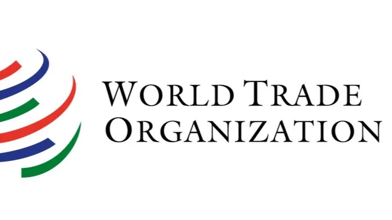 Sidang 'Mobnas Timor' ini memakan waktu 12 bulan lebih, setelah WTO membacakan hasil keputusannya pada 23 Juli 1998.