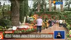 Para pengunjung bisa melihat koleksi tanaman langka dari penjuru dunia di rumah kaca dengan suhu yang sejuk ini.
