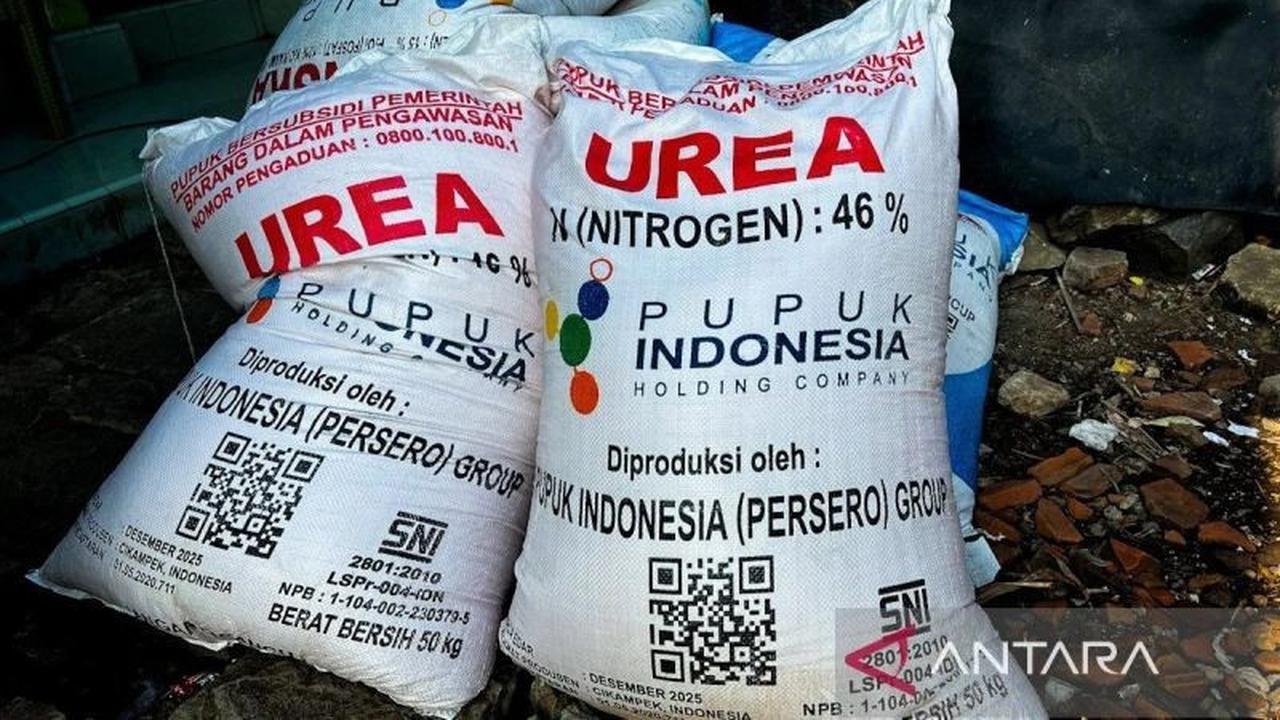 Terungkap 2.039 Kios Pupuk Nakal Curangi Petani, Mentan Pastikan Stok Aman Jelang Musim Tanam!