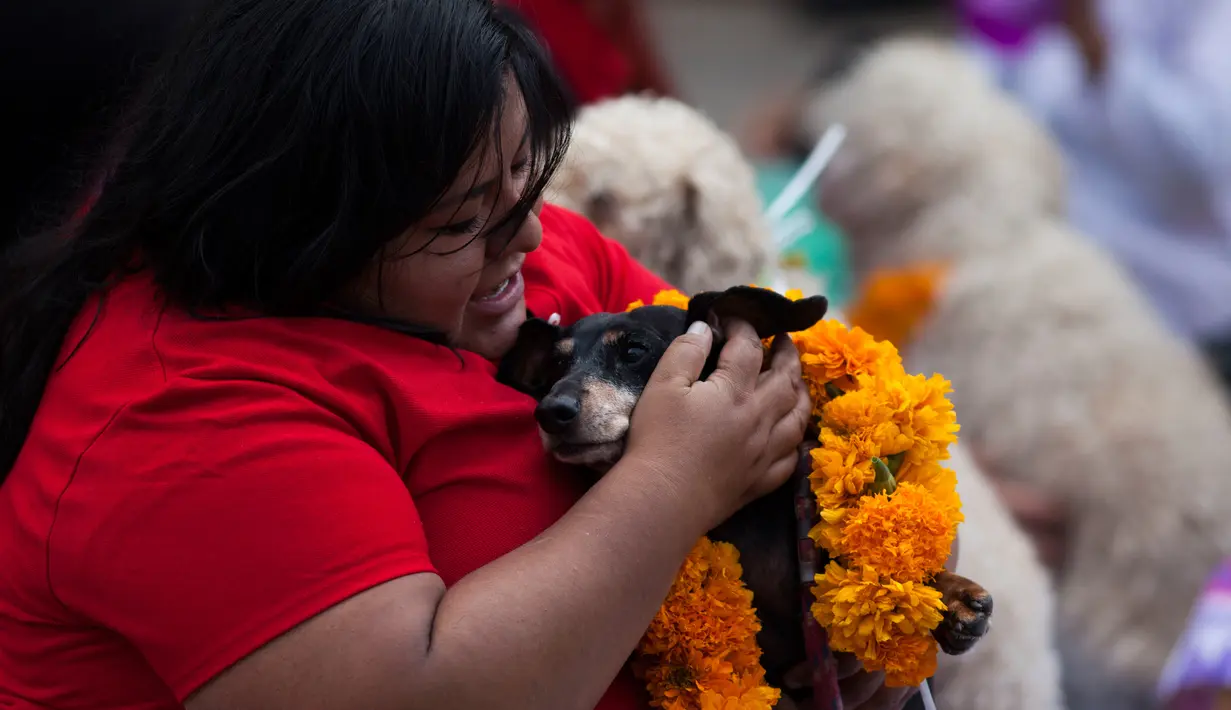 Seorang wanita memeluk anjingnya yang diberikan kalung selama acara "Kukur Tihar" di Mexico City, Minggu (11/11). Kukur Tihar adalah festival Hindu yang dirayakan khusus untuk menghormati anjing. (AP Photo/Claudio Cruz)