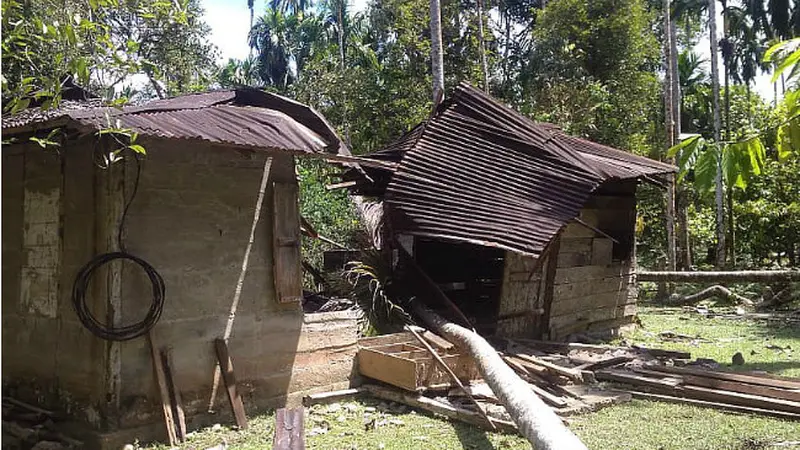 Lagi, Gajah Berkeliaran di Nagan Raya