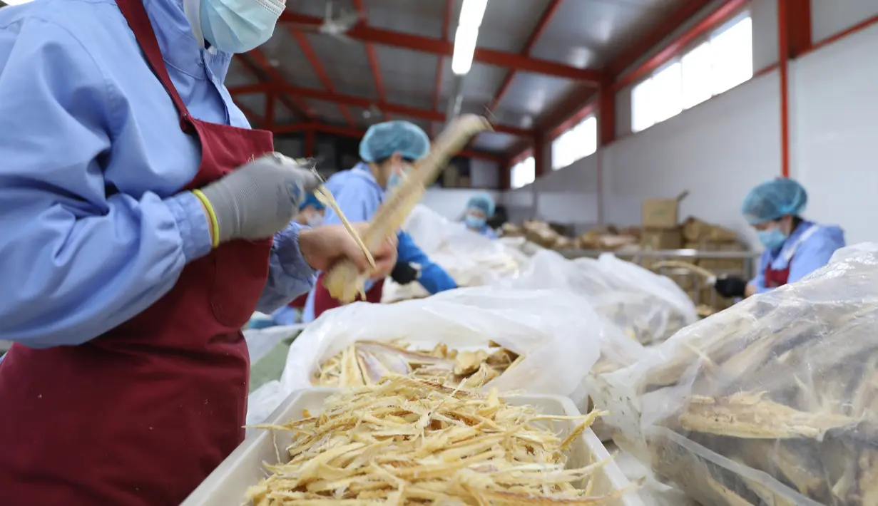 Pekerja mengolah ikan di pabrik sebuah perusahaan makanan di Donggang, Provinsi Liaoning, China, 10 September 2020. Perusahaan-perusahaan produk ikan di Donggang sedang mengembangkan sejumlah produk olahan baru dan memperluas saluran pemasaran untuk memastikan penjualan mereka. (Xinhua/Yao Jianfeng)