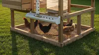 7 Desain Kandang Ayam Murah dengan Sistem Pakan Otomatis Sederhana yang Mudah Dirakit
