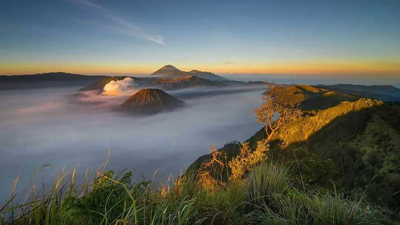Bukit Kingkong