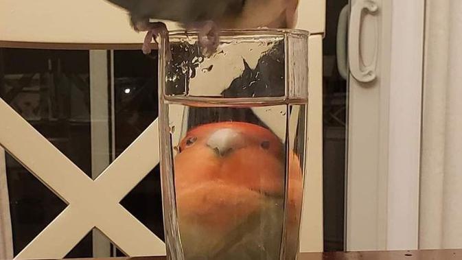 momen kebetulan 10 Momen Kebetulan Tertangkap Kamera, Hasilnya Kayak Editan. Sumber: Brightside