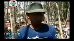 Ada berbagai macam khasiat yang dihasilkan oleh madu, baik untuk kesehatan maupun kecantikan, selain tentunya untuk melezatkan makanan. Berbagai cara pun dilakukan oleh peternak lebah, untuk dapat menghasilkan madu terbaik.
