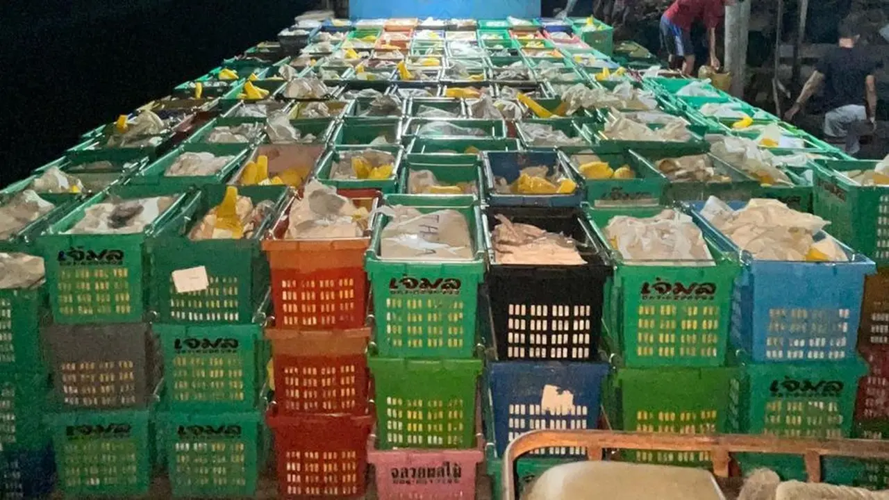15 Ribu kilogram mangga segar ilegal diamankan di wilayah Pengalihan, Keritang, Indragiri Hilir, Riau. (istimewa)