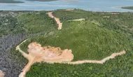 Korporasi Keruk Bukit di Hutan Lindung Tanjung Piayu Batam