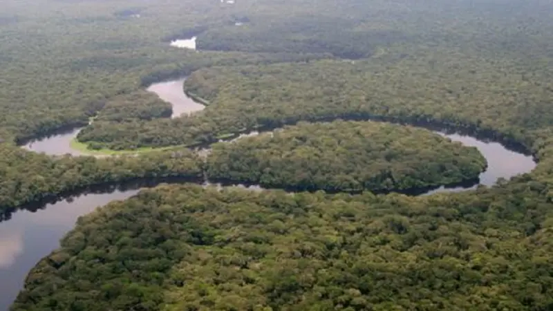 Taman Nasional Salonga