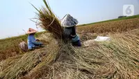 Realisasi Serapan Gabah Petani Dekati 3 Juta Ton dari Target