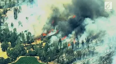 Kebakaran hutan melanda Lake Country, California Utara. Ribuan warga berhasil harus mengungsi dan dievakuasi.