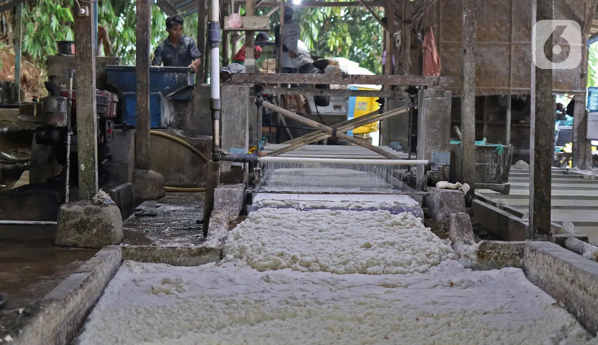 Pekerja menyelesaikan pembuatan tepung tapioka di industri rumahan kawasan Legok Nyenang, Kadumanggu, Kabupaten Bogor, Jawa Barat, Minggu (1/8/2021). Tepung tapioka dijual dengan harga Rp 10 ribu per kilogram. (Liputan6.com/Herman Zakharia)