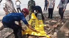Mayat Misterius Tinggal Kulit dan Kerangka Ditemukan di Pantai Lampung Selatan