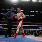 Saul Canelo Alvarez memukul KO Amir Khan dalam pertarungan mempertahankan gelar sabuk kelas menengah (middleweight) WBC di Las Vegas, Sabtu malam waktu setempat (7/5/2016). (Liputan6.com/Reuters / Andrew Couldridge Livepic)