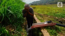 Semenjak adanya pembangkit listrik tenaga surya ini, para petani dapat melakukan panen padi dua kali dalam setahun yang sebelumnya hanya setahun sekali. (merdeka.com/Arie Basuki)