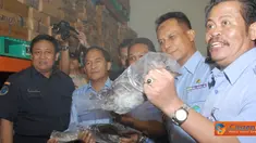 Citizen6, Jakarta Utara: Dirjen Pengawasan Sumber Daya Kelautan dan Perikanan (PSDKP ) KKP, Syahrin Abdurahman mengatakan bahwa, bahwa jumlah ikan ilegal yang disita dari Sidak di Muara Baruadalah berjumlah 100 ton ikan. (Pengirim: Efrimal Bahri)
