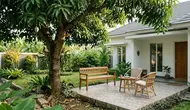 7 Model Teras Depan Rumah dengan Pohon Mangga Besar Jadi Peneduh Estetik, Hasilnya Bikin Kagum