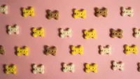 Homemade Dog Biscuit Recipe: 4 Simple Ideas That Your Puppy Will Love
