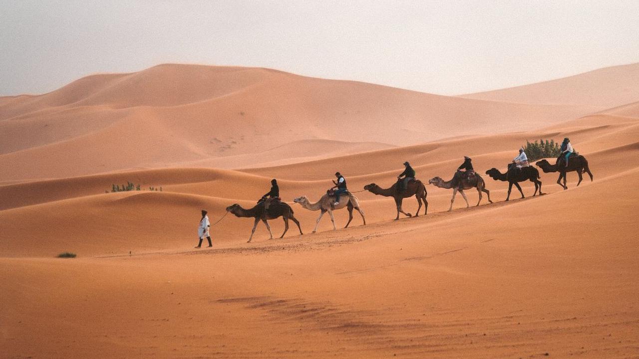 Gurun Sahara Dulu Pernah Hijau, Peneliti Ungkap Kapan dan Penyebabnya