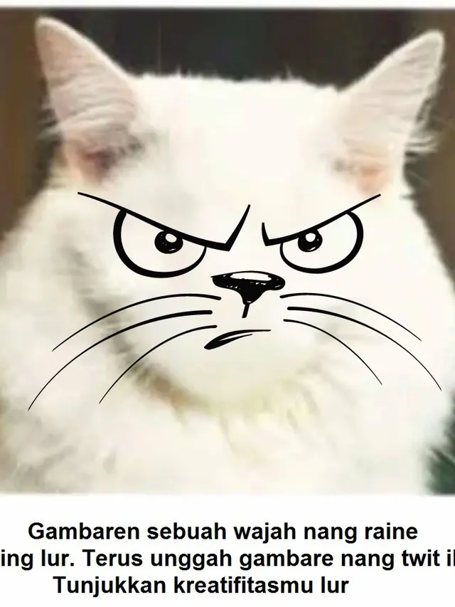 7 Hasil Kreativitas Netizen Menggambar Muka Pada Tubuh Kucing Ini Kocak