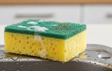 8 Benda di Dapur yang Sebaiknya Diganti Setiap Beberapa Bulan agar Tetap Higienis