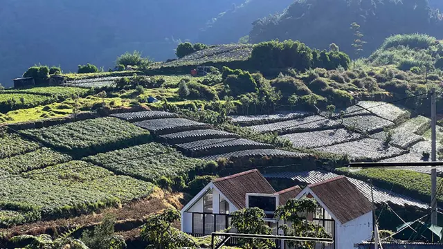 Bukit Skoter