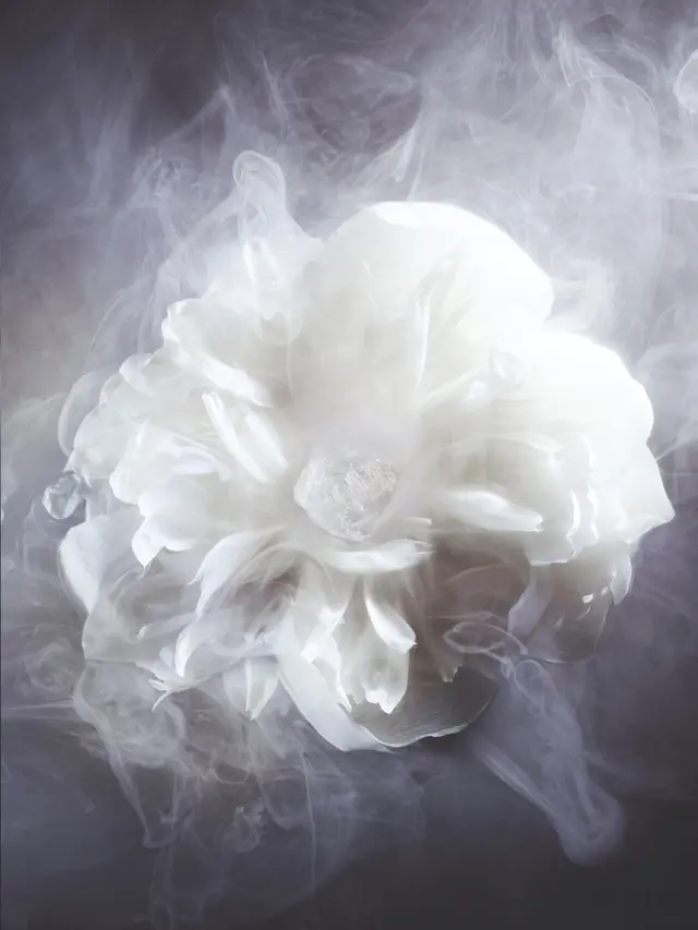 Dior Luncurkan Parfum “New Look” dengan Keharuman Segar dan Sensual