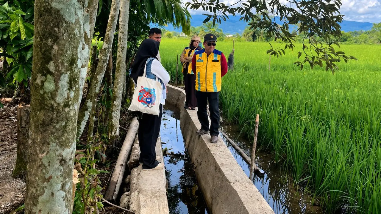 Peninjauan lahan sawah terdampak di Kabupaten Nagan Raya, Aceh