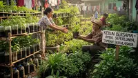7 Tanaman Herbal untuk Usia 50 Tahun ke Atas yang Mudah Dirawat & Bermanfaat untuk Kesehatan