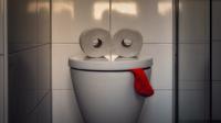 Ilustrasi toilet pesawat. (dok. Peter H/Pixabay)