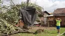 Seorang anak melihat trampolinnya tergantung di atas pohon akibat tornado di Lachute, Quebec, Rabu (23/8). Tornado ini adalah yang keenam dalam setahun terakhir di Quebec dengan skala yang lebih tinggi. (Ryan Remiorz/The Canadian Press via AP)