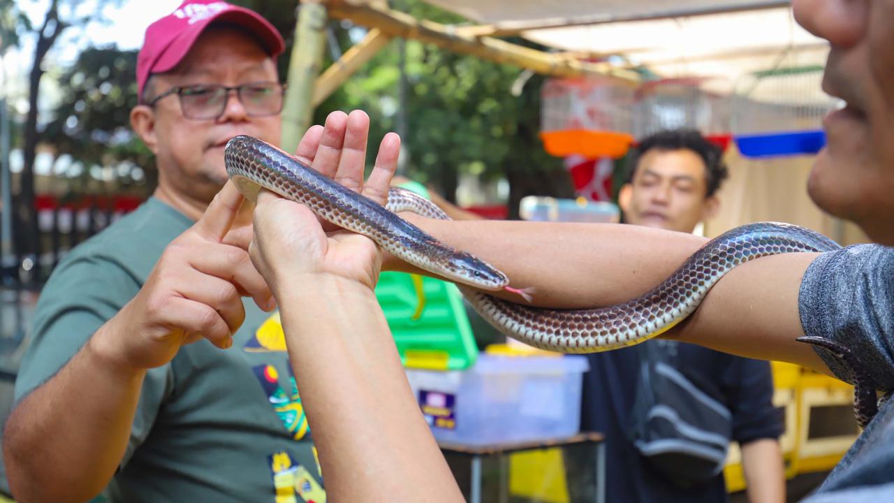 Menikmati Kekayaan Flora Nusantara di Tengah Jakarta