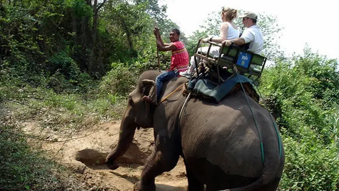 Foto: copyright thedodo.com