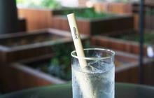 Berapa Gelas Minum Air Putih Sehari yang Dianjurkan? Berikut Manfaatnya